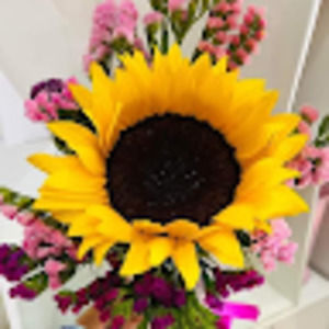 Meet your Posher, Roxana